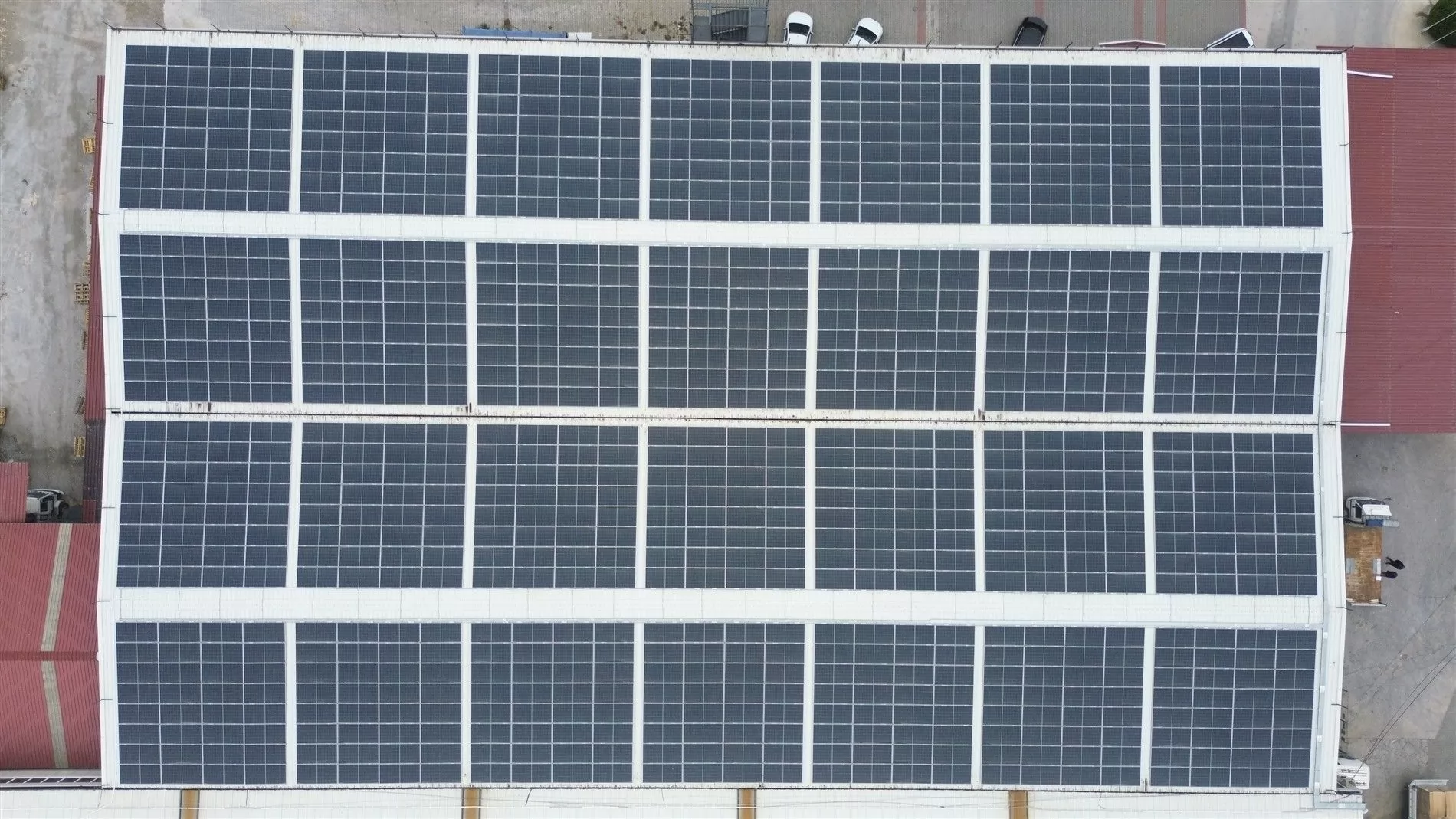 Проект Лена