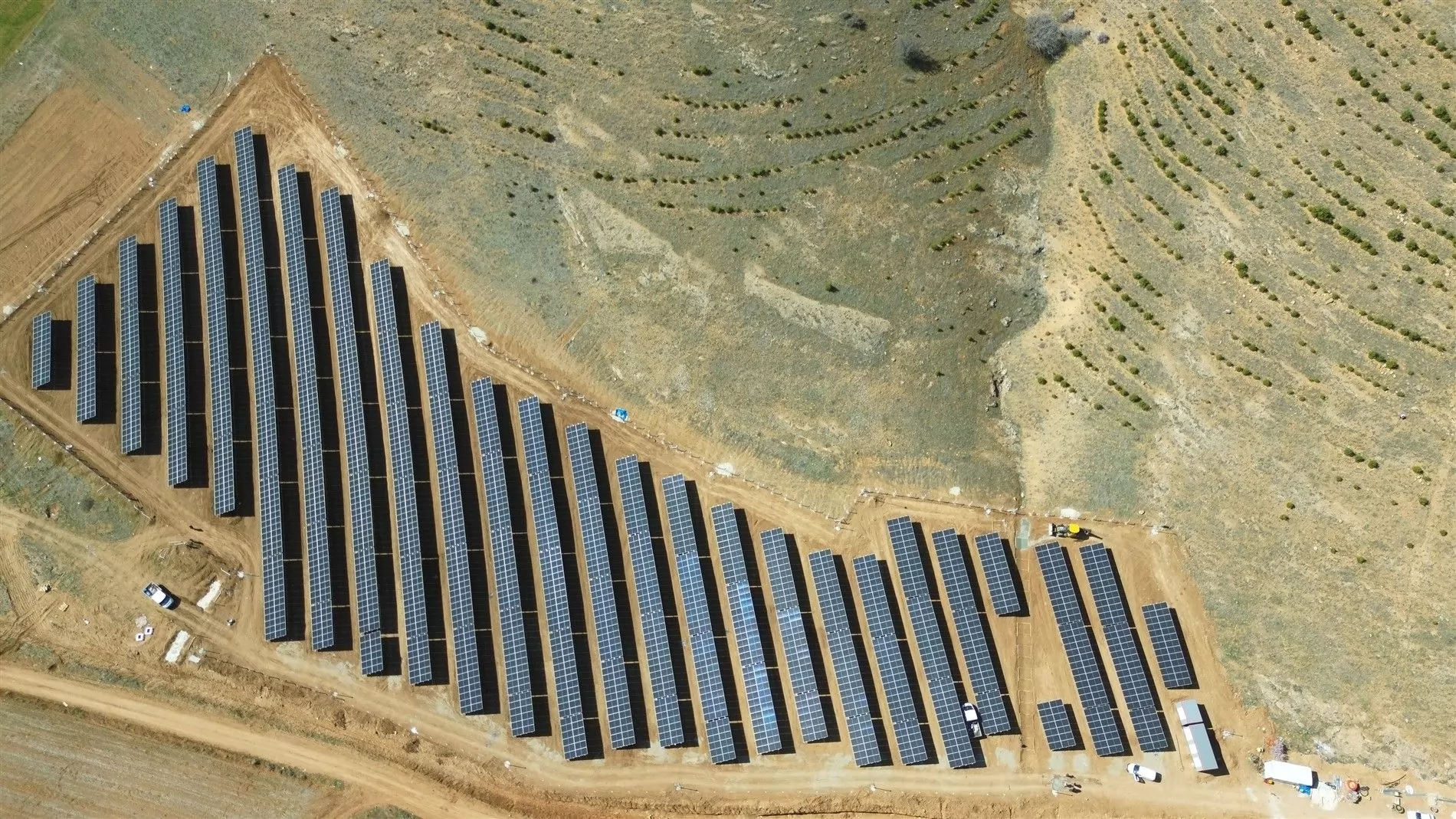 Проект Лена